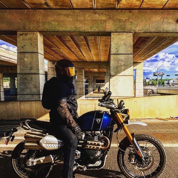 Meet your Posher, Archie - Picture 4 of 4